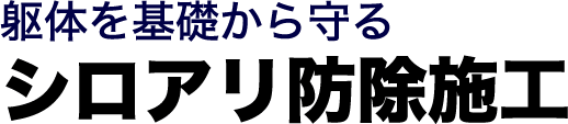 躯体を基礎から守るシロアリ防除施工